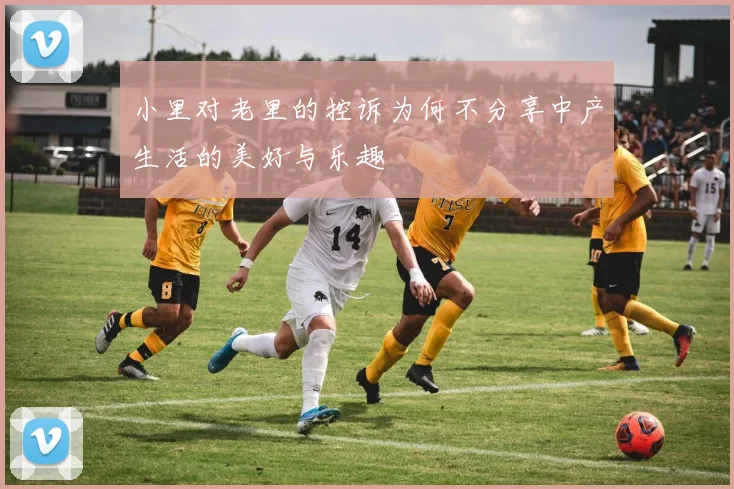 小里对老里的控诉为何不分享中产生活的美好与乐趣