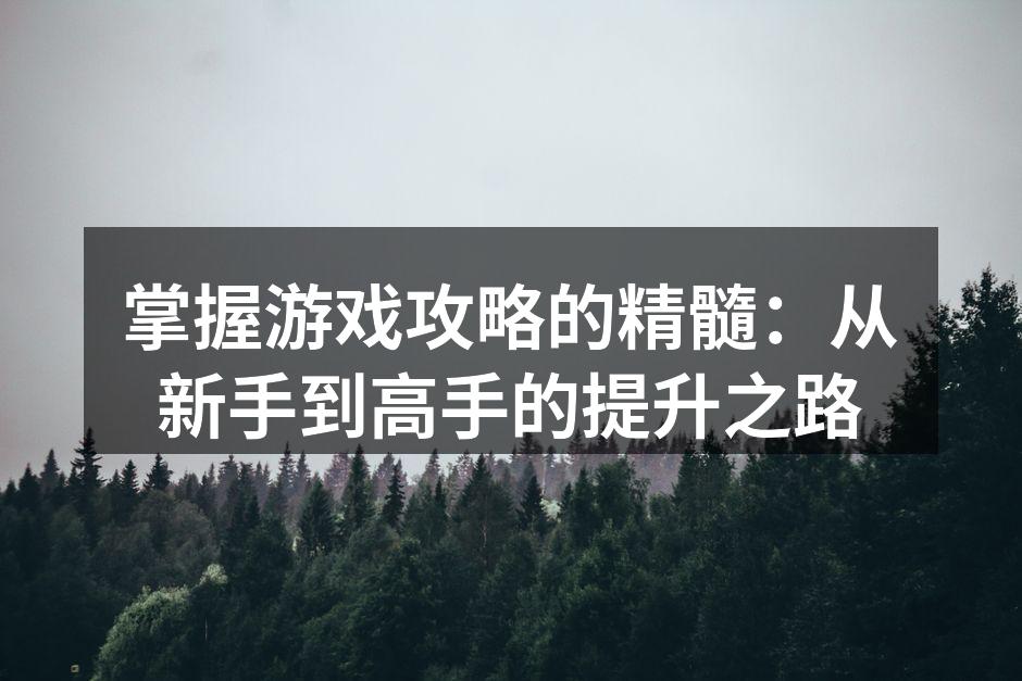 游戏中的策略运用